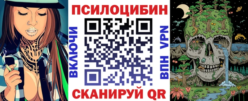 сколько стоит  Калач-на-Дону  Галлюциногенные грибы Psilocybe 