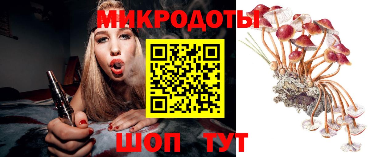 Псилоцибиновые грибы Psilocybe Калач-на-Дону