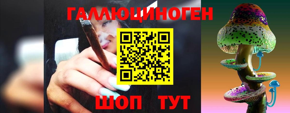 Псилоцибиновые грибы MAGIC MUSHROOMS  Галлюциногенные грибы Psilocybine cubensis  Вход с VPN  Калач-на-Дону 