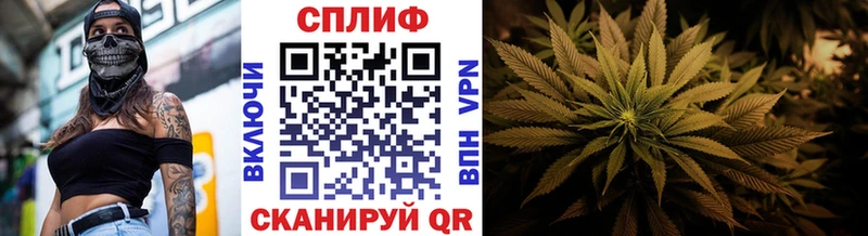 где найти наркотики  OMG маркетплейс  Каннабис семена  Калач-на-Дону 